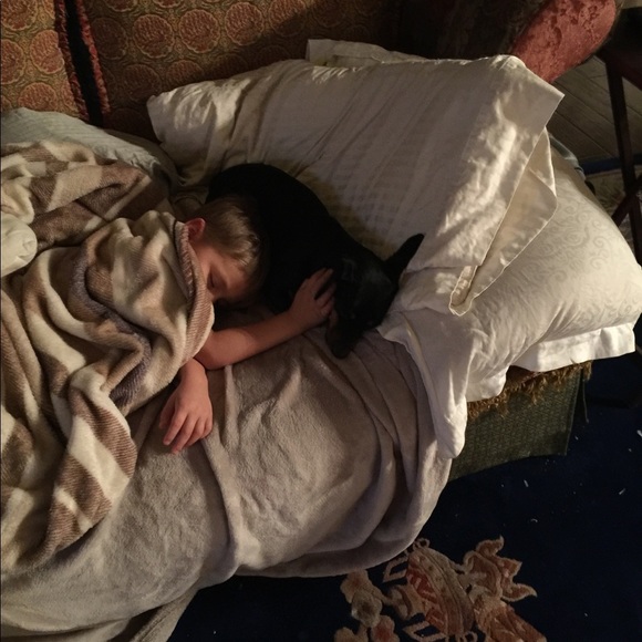 DOG FRIENDLY ENVIRONMENT😂 - Picture 10 of 16